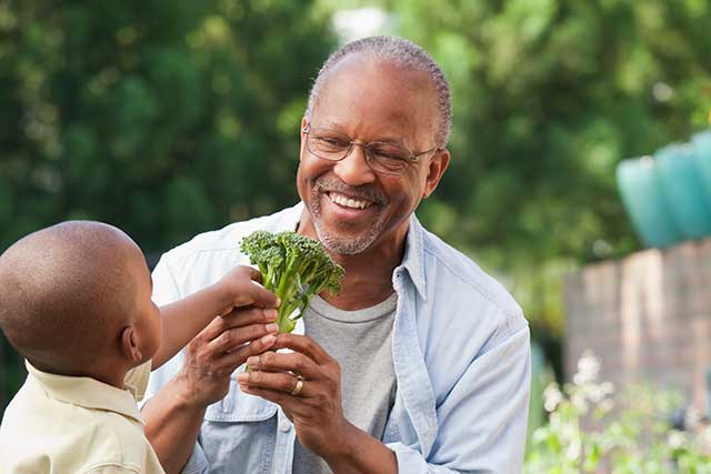 man showing vegetable to grandson in garden