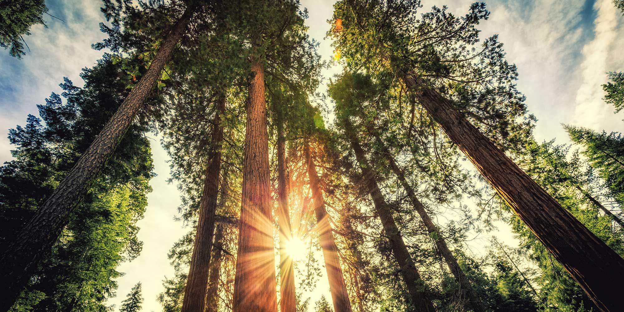 SEMI Office of Philanthropy