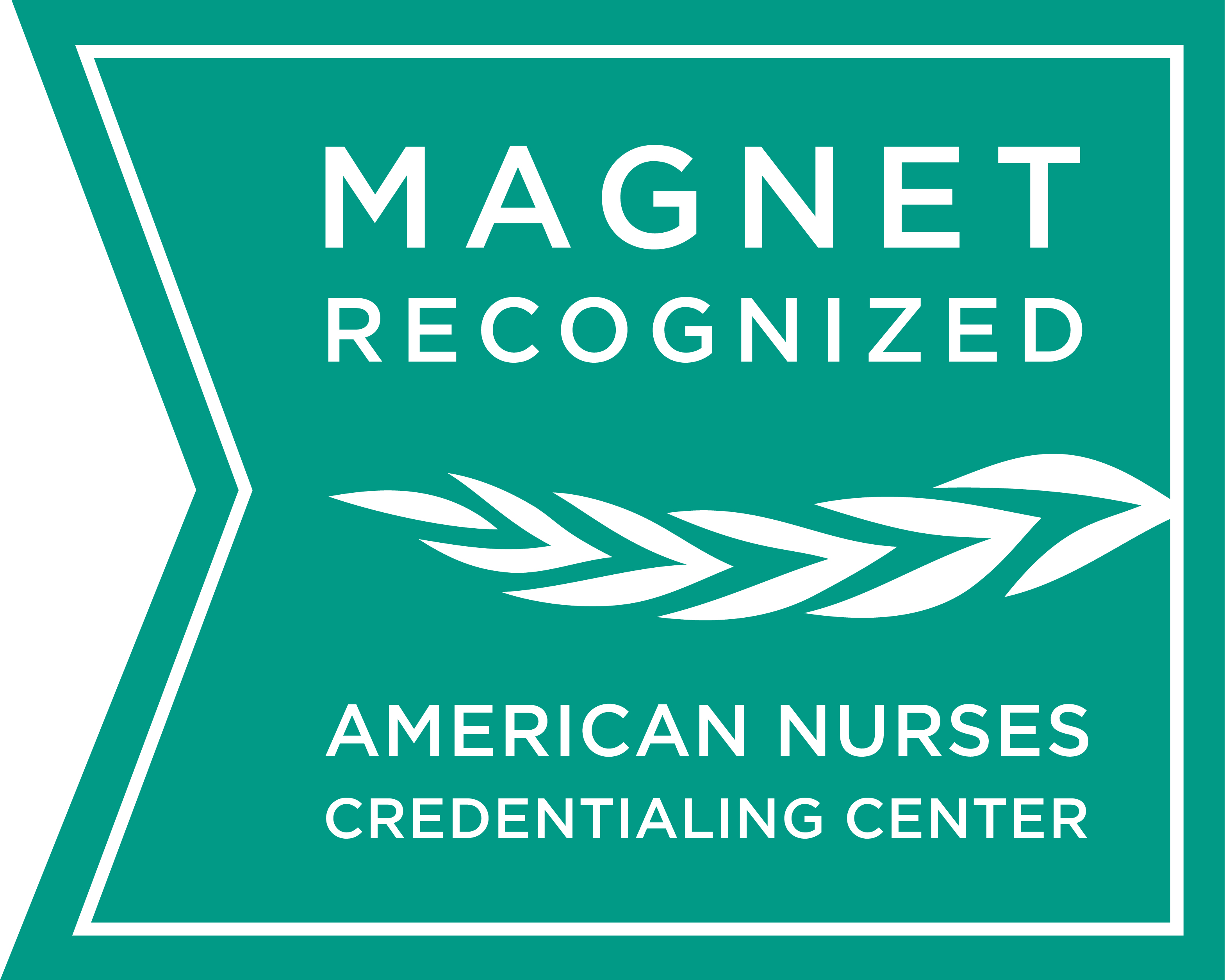 ANCC Magnet Recognition