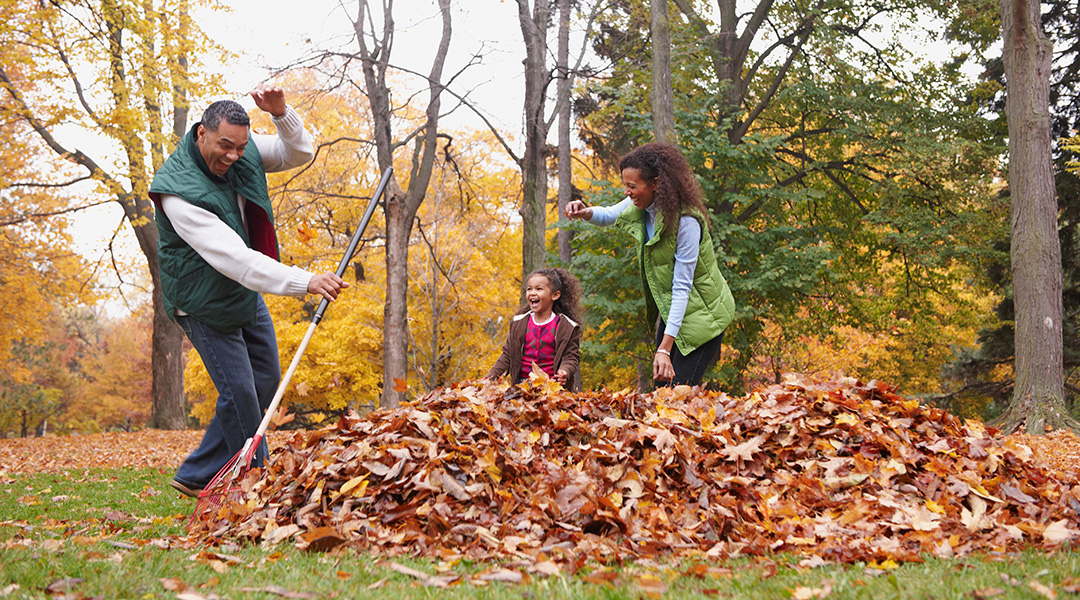 Family Fall Leaves 1080x600