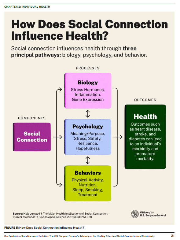 Social Connection Health Influence