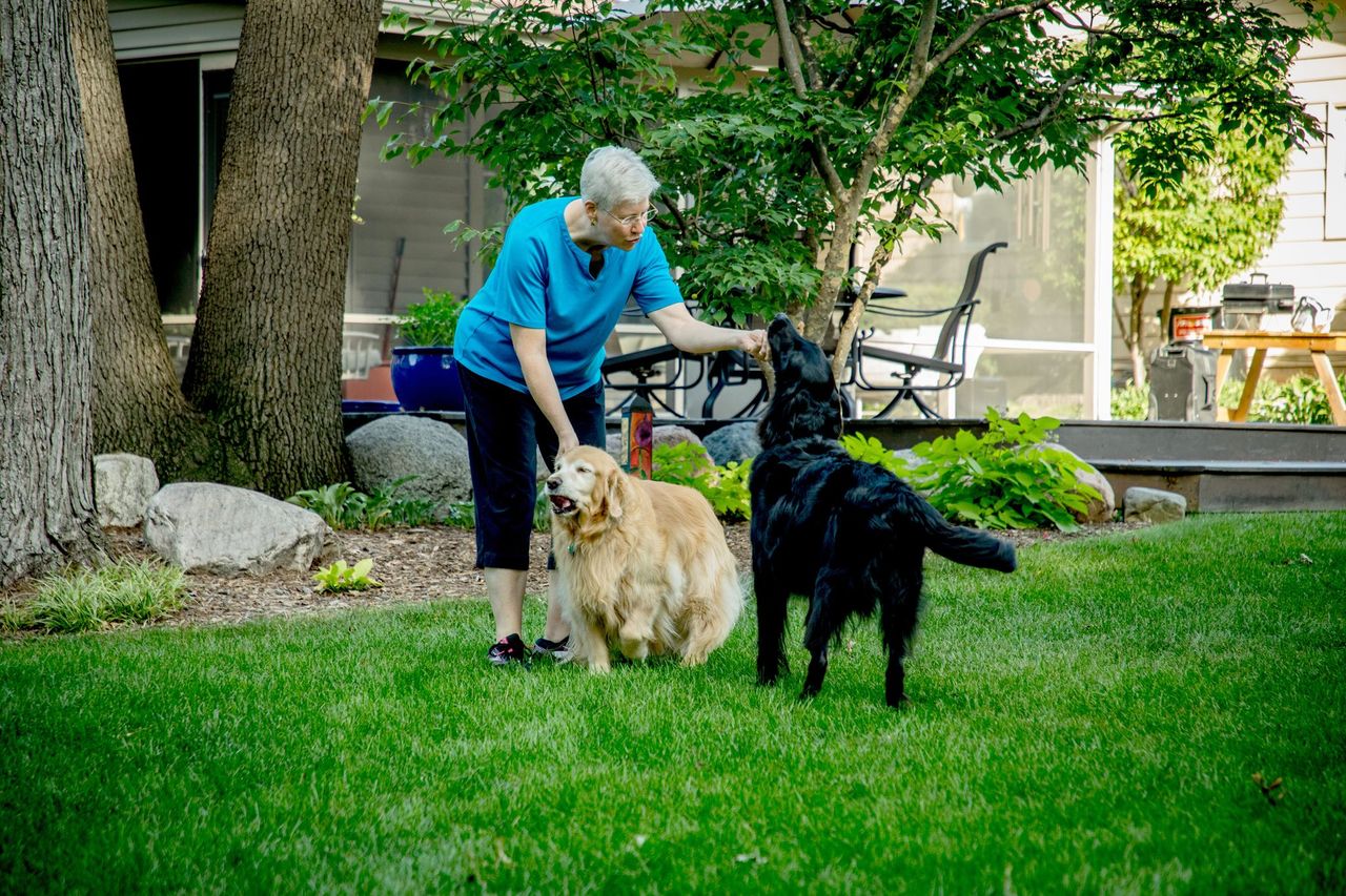 Mary Playing with Dogs