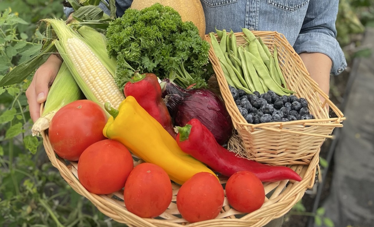 A basket filled with spring vegetables and fruits including tomatoes, peppers, corn, red cabbage, snap peas, and blueberries.