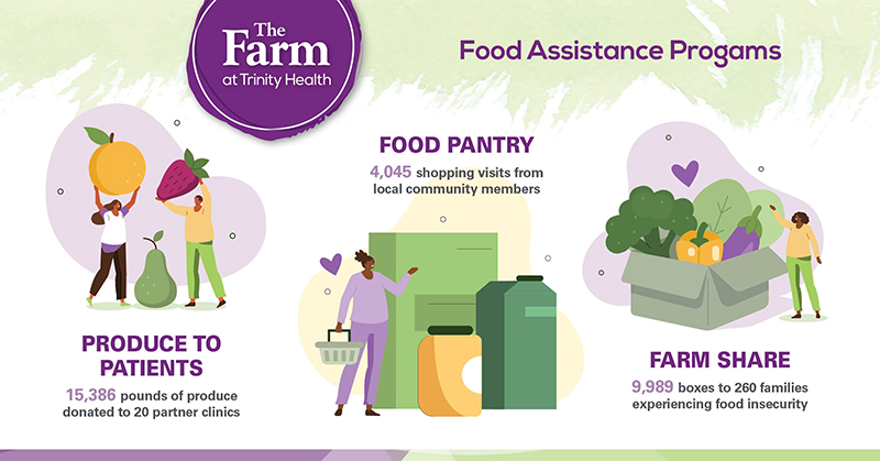 Food Assistance Program infographic